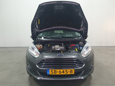 Ford Fiesta 1.0 EcoBoost Titanium NAVI/PDC/CRUISE/TRHAAK/LMV